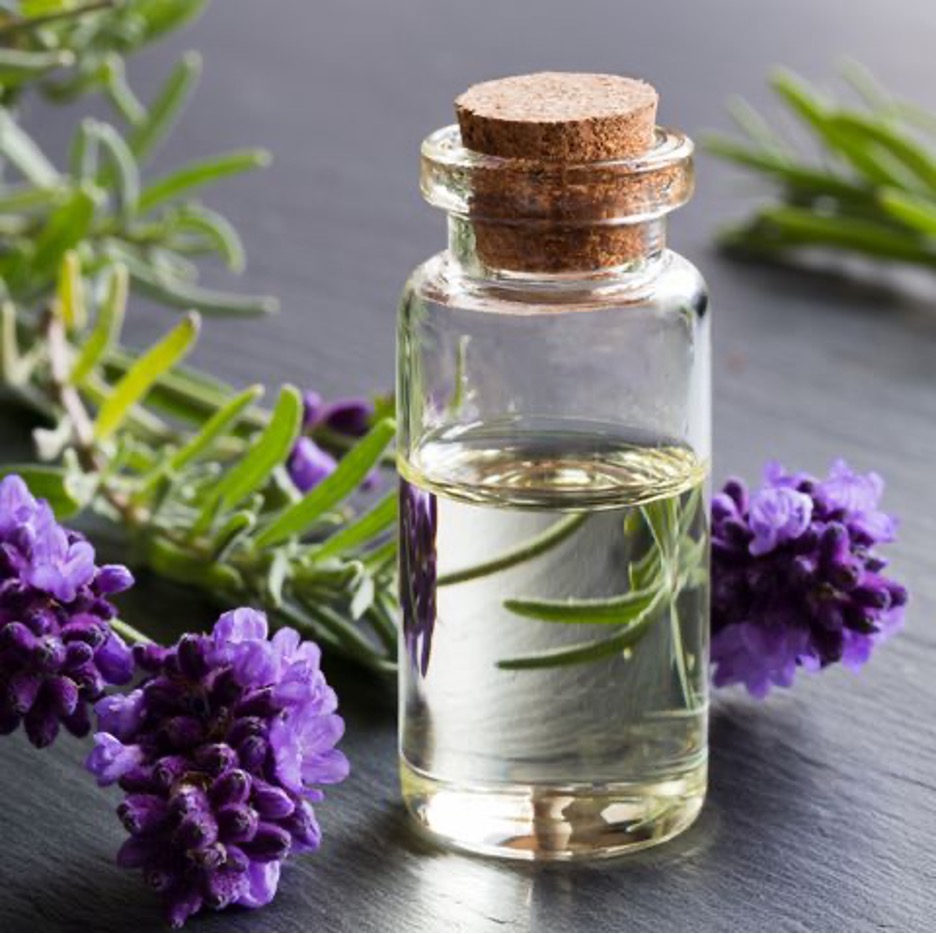 Tinh dầu thơm Lavender được chiết xuất từ hoa oải hương